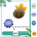 Hochwertiger Großhandel Blue Lotus Blumenextraktpulver